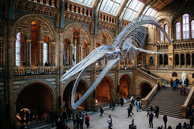 The Natural History Museum London Guided Tour - Semi-Private 8ppl Max - Key Points