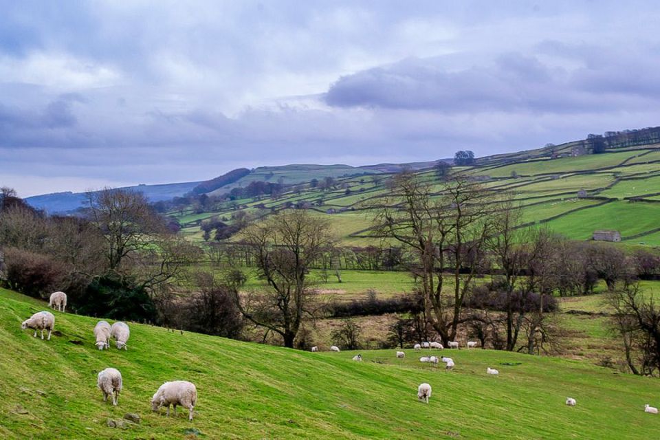 The Yorkshire Dales Tour From York - Key Points