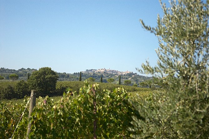 Think of a Romantic Meal in the Olive Trees Shade, Accompanied by Tuscan Wines! - Key Points