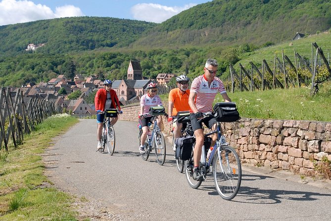 Through Alsace Vineyards and Wine Villages Private Bike Tour - Key Points