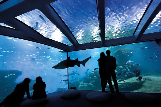 Ticket Palma Aquarium Key Points