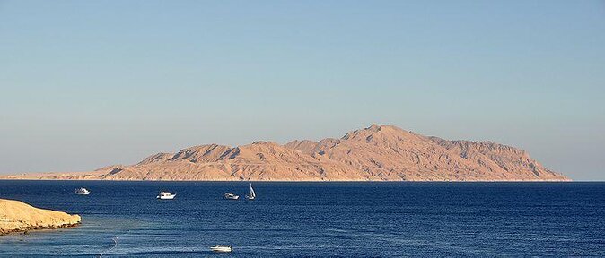 Tiran Island Snorkeling Experience by Yacht Sharm El Sheikh - Key Points