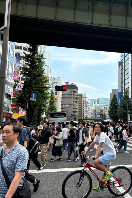 Tokyo: Akihabara Anime and Gaming Tour Review - Key Points