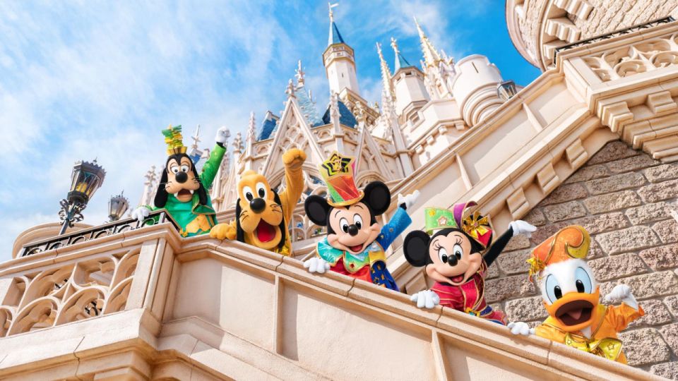 Tokyo Disneyland: 1-Day Entry Ticket and Private Transfer - Key Points