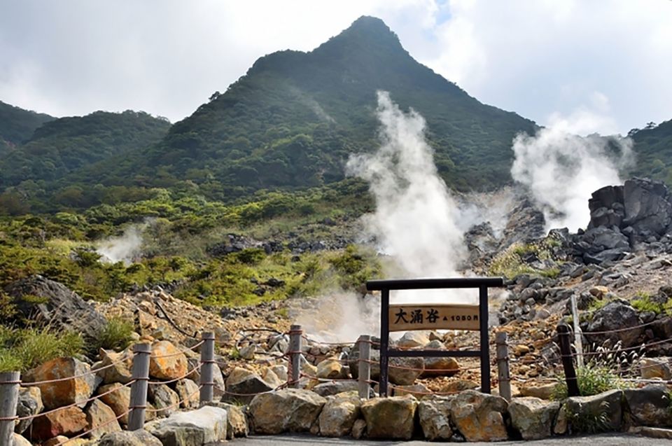 Tokyo: Hakone Fuji Day Tour W/ Cruise, Cable Car, Volcano - Key Points