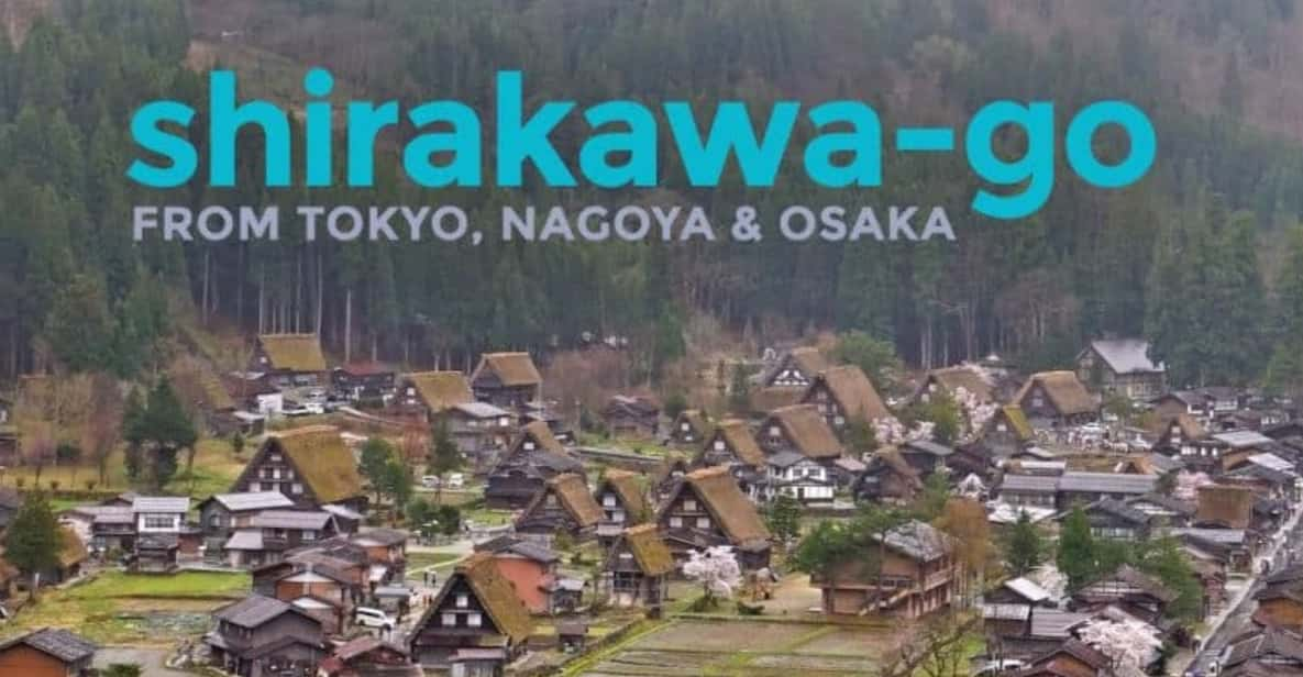 Tokyo: Private Luxury Transfer To/From Shirakawa Go (1 Way) - Key Points