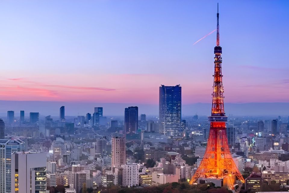 Tokyo Tower: Entry Ticket & Private Hotel Pickup Service - Key Points