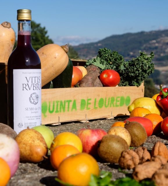 Traditional Cooking Class and Farm Tour in the Douro Valley - Key Points