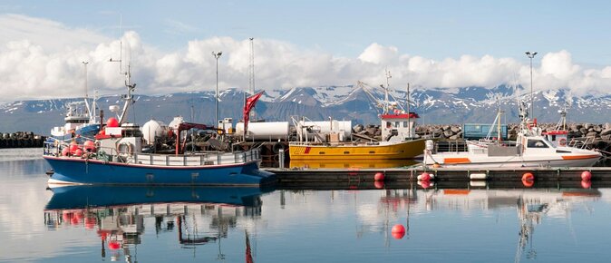 Traditional Whale Watching Tour From Husavik - Key Points