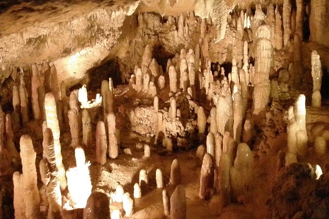 Treasures of Barbados Cave and Plantation Sightseeing Tour - Tour Overview