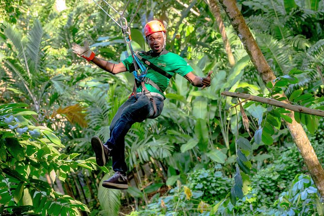 Treetop Zipline Experience From Castries - Soaring Through Lush Rainforest