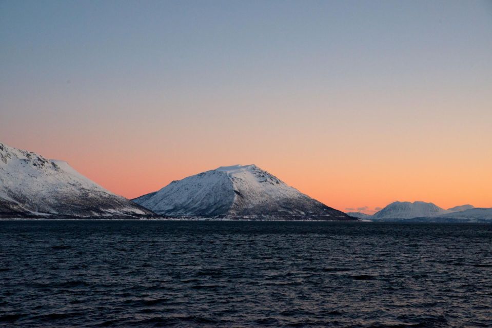 Tromsø: Arctic Fjord Cruise in Polar Landscapes - Key Points