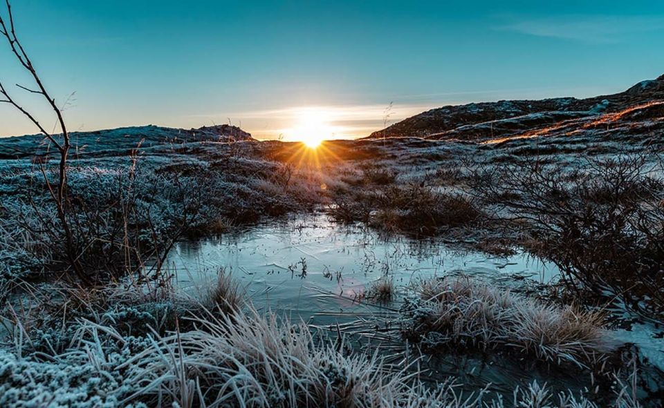 Tromsø: Arctic Sightseeing Tour & Citizen Science Project - Key Points