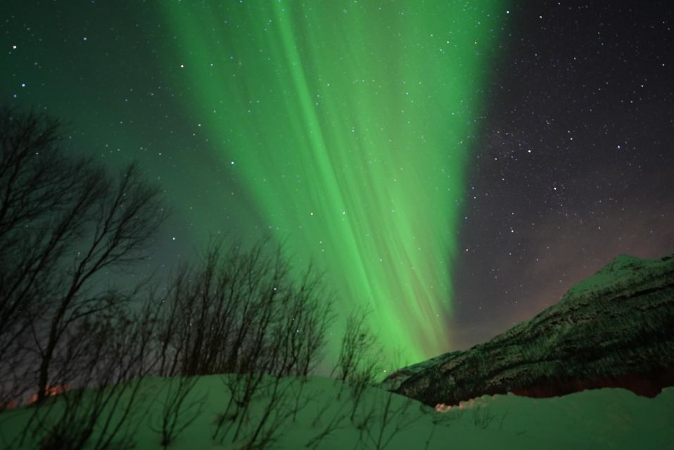 Tromsø: Guided Tours to See the Northern Lights: - Key Points