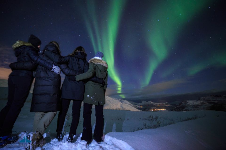 Tromsø: Northern Lights Guided Bus Tour - Key Points