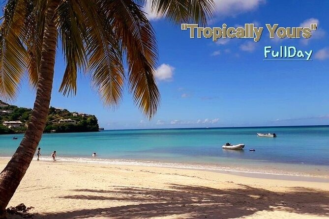 Tropically Yours - Tour Overview