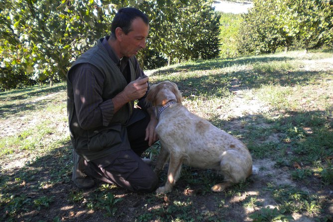 Truffle Hunt & Barolo Wine Tasting - Exclusive Truffle Hunt Details