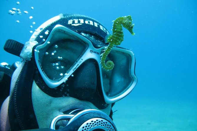 Try Scuba Diving in Split - Key Points