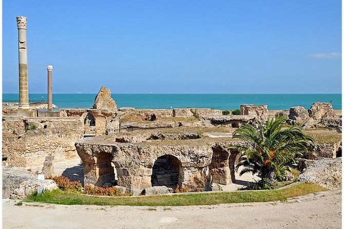 Tunis, Sidi Bousaid and Carthage Day Trip From Hammamet - Key Points