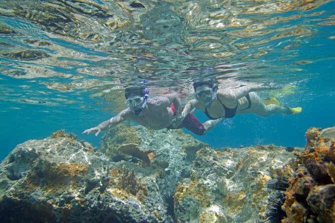 Two Stop Snorkel and Shipwreck From Dockyard - Overview of the Tour