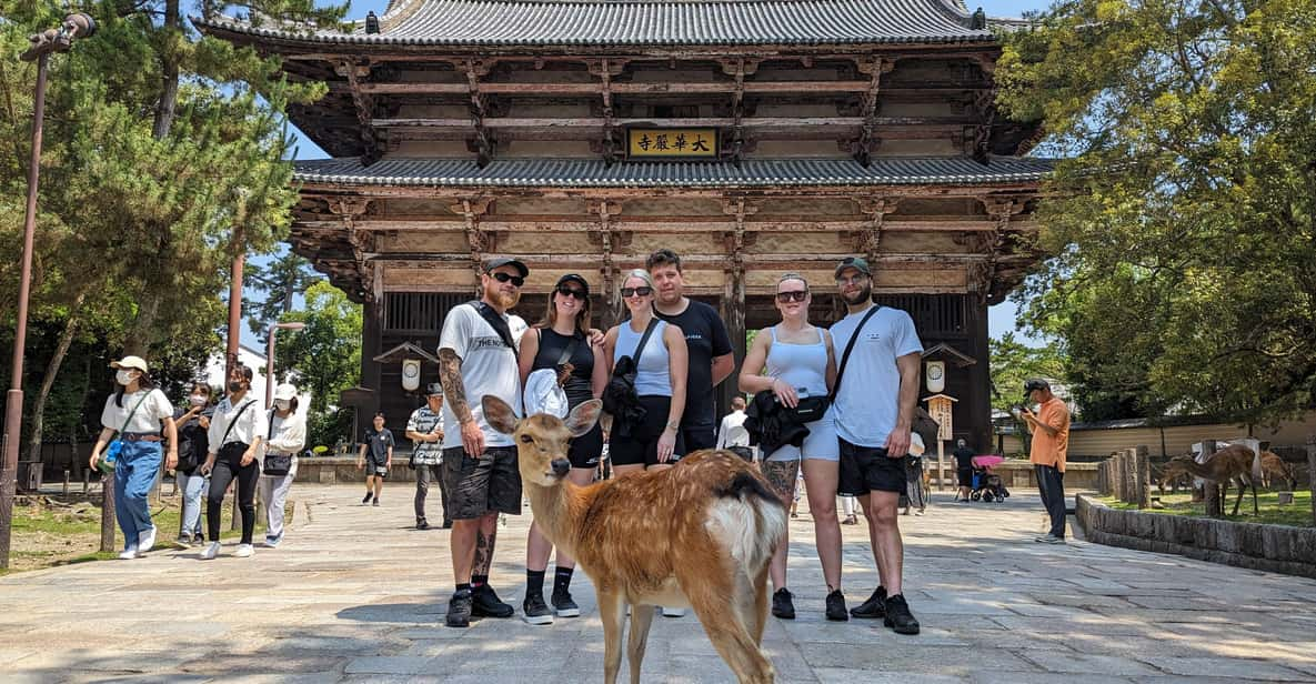 Ultimate Nara Walk Review: A Cultural Adventure - Key Points