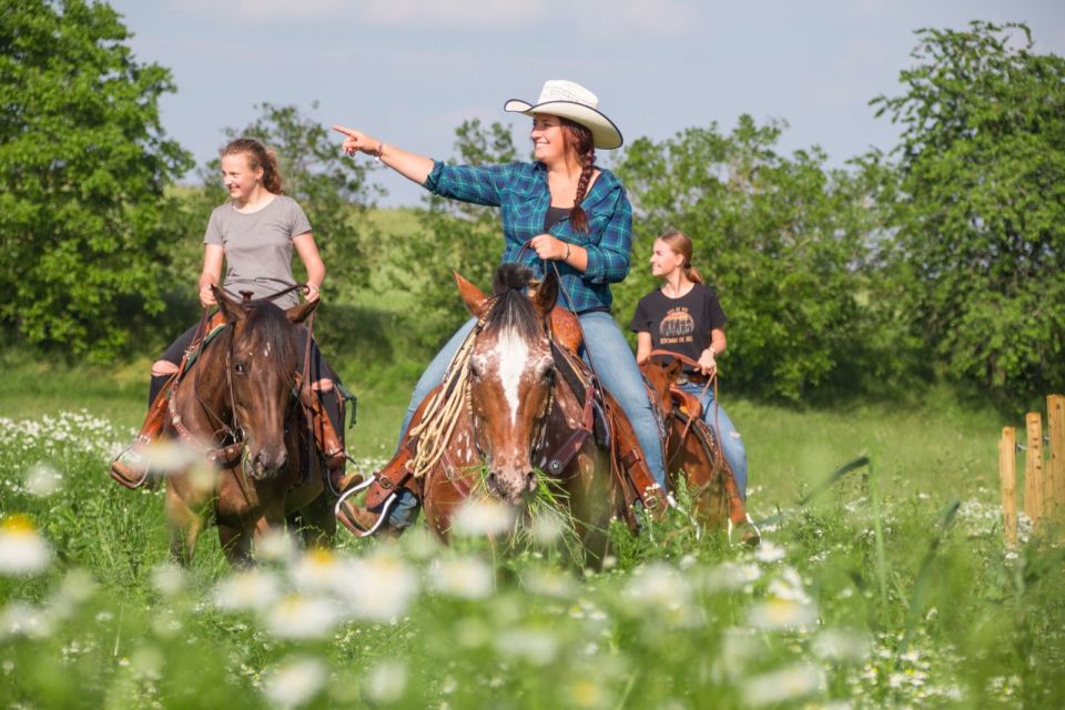 Upper Austria: Landscape, Forests, Meadows - Key Points