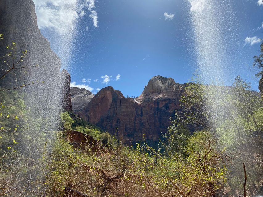 Utah: Zion National Park Half-Day Hike With Picnic - Key Points