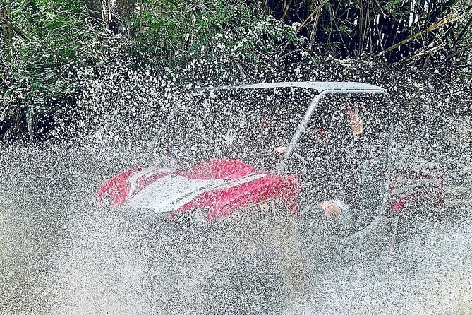 UTV Adventure in Naguabo Puerto Rico 50 Minutes Trip 80 Acres - Key Points