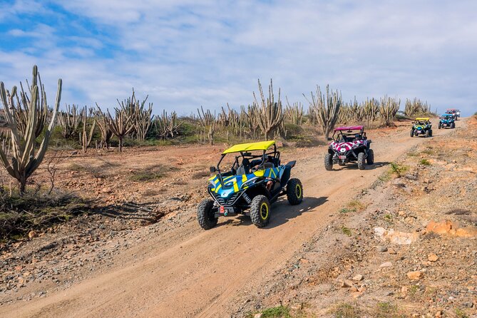 UTV Expedition: Discovering Arubas Hidden Wonders - Overview of the UTV Expedition