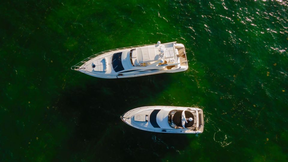 Vice Yacht Rentals of Bill Bird Marina - Key Points