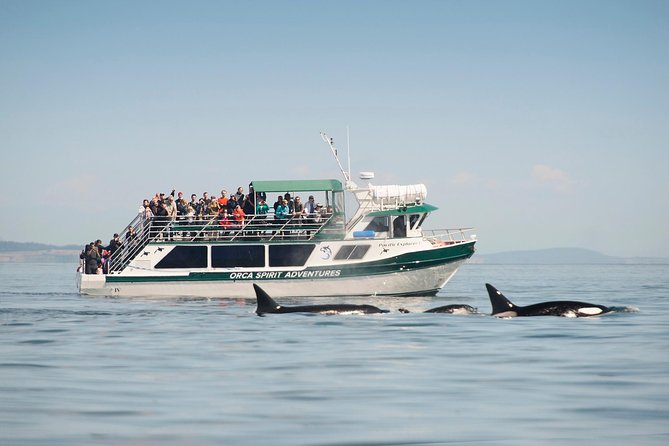 Victoria Whale Watching Tour on a Covered Vessel - Key Points