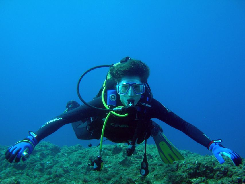 Vila Franca Do Campo: Introduction to Scuba Diving Tour - Key Points