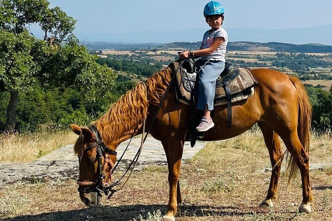 Visit a Farm and Horseback Riding in Nature - Key Points