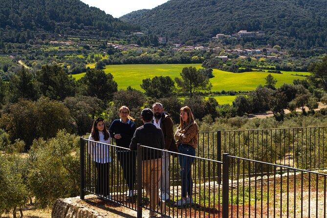 Visit the Finca and Olive Grove, Extra Virgin Olive Oil Tasting and Snack - Overview of the Experience