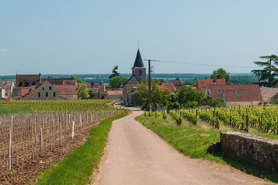 Vosne-Romanée: Private Vineyards Walking Tour With Tasting - Key Points