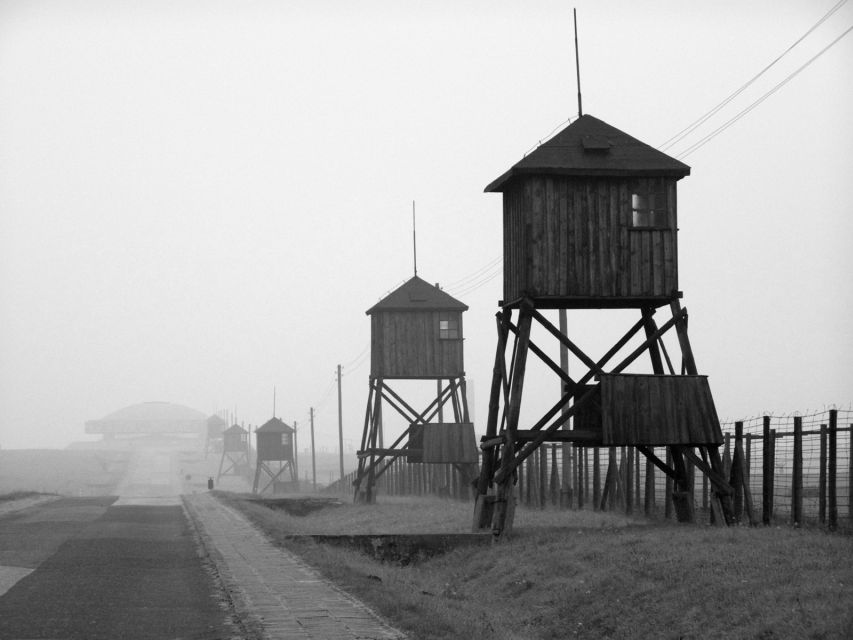 Warsaw: Majdanek Concentration Camp, Lublin Day Trip by Car - Key Points