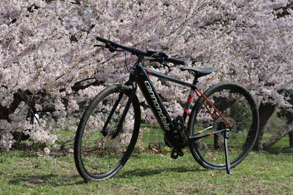 Washington DC: Cherry Blossom Festival Tour by Bike - Key Points