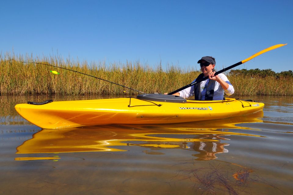 Wekiva River Kayak Full-Day Trip - Trip Overview