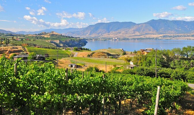 West Kelowna Tour From Vernon - Classic - 4 Wineries - Key Points