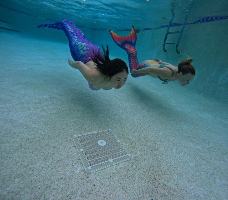 West Palm Beach: Become A Mermaid - Key Points