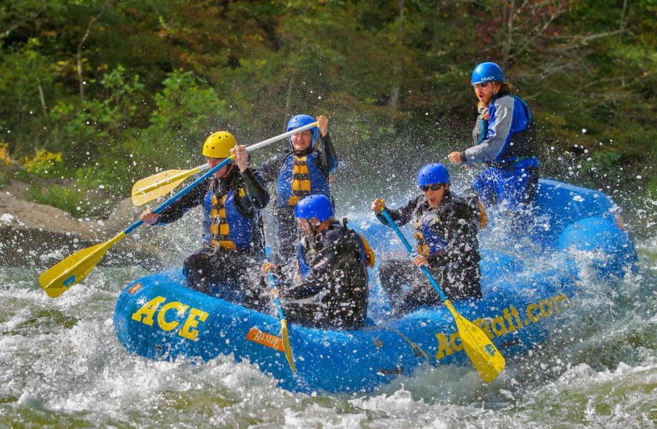 Whitewater Rafting on the Fall Lower Gauley - Friday - Key Points