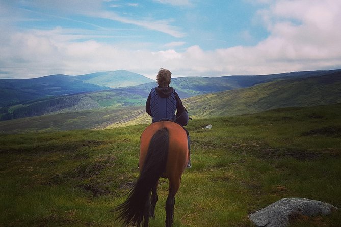 Wicklow Mountains Horse Trekking - Key Points