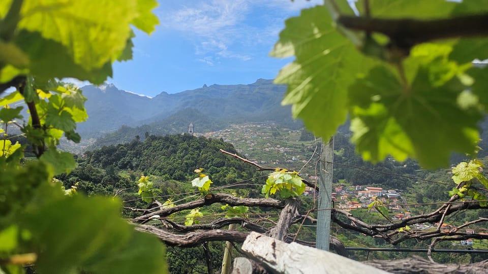 Wine Tour by Overland Madeira - Key Points