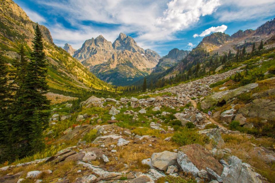 Wyoming: Grand Teton and Yellowstone Parks Audio Tour App - Key Points