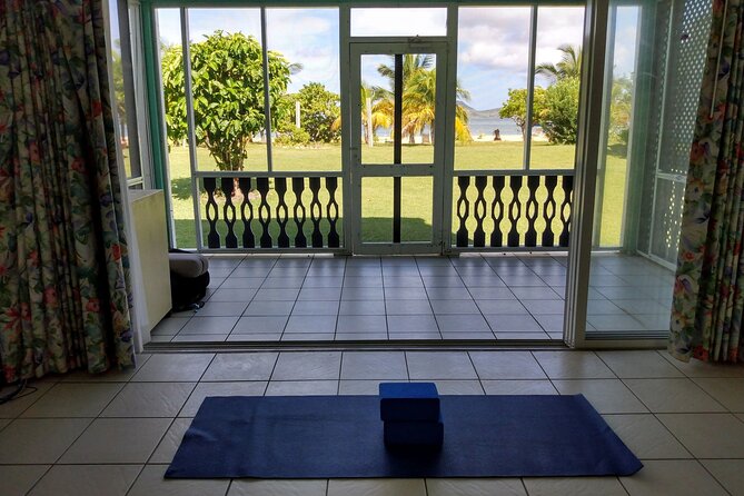 Yoga and Meditation, Group or Private Sessions in Nevis - Overview of Classes