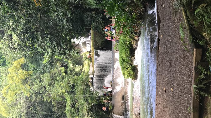 YS Falls, Black River Safari, Floyd's Pelican Bar - Key Points