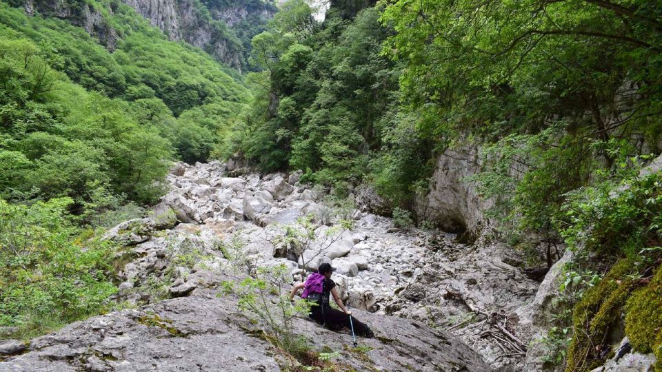 Zagori: Hiking In Vikos Gorge - Key Points