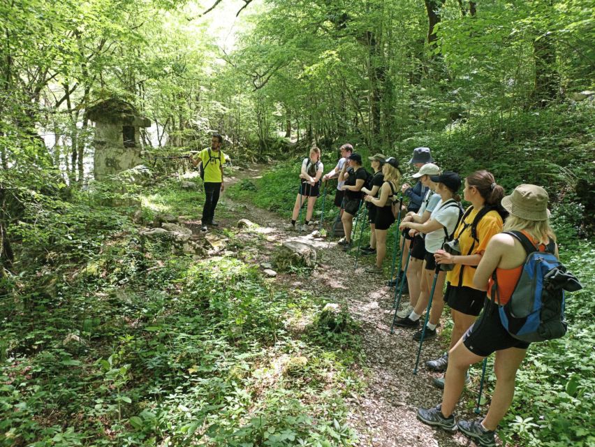 Zagori: Vikos Gorge Hike - Key Points