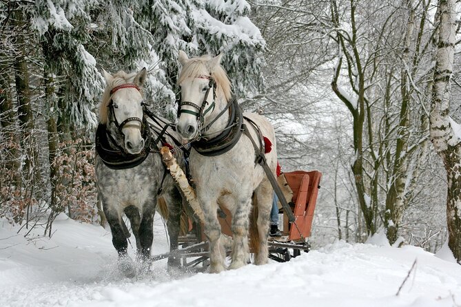 Zakopane & Sleigh Ride With Bonfire - Private Day Trip From Krakow - Key Points