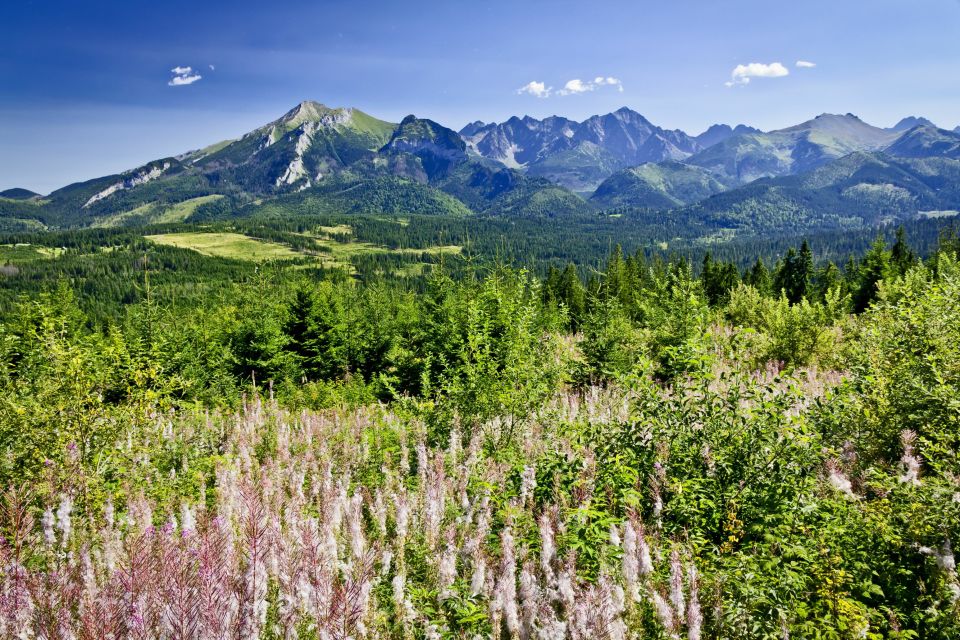 Zakopane: Tatra Mountains Full Day Tour From Krakow - Key Points